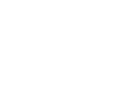 Lorentz Institute